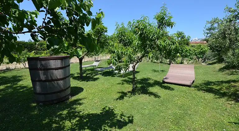 Apartment in Gatteo A Mare