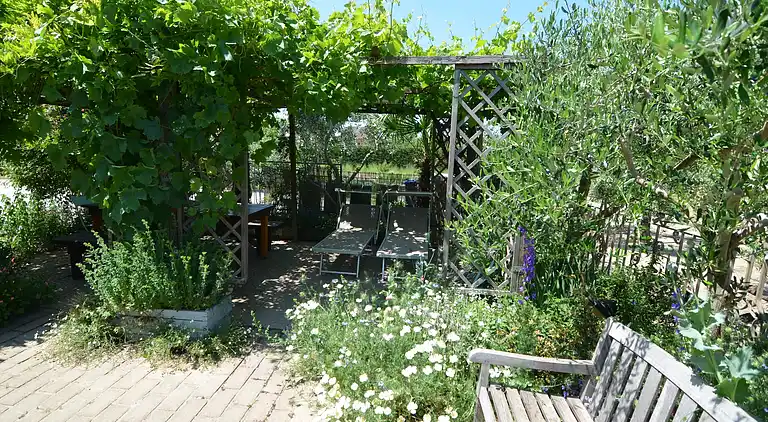 Apartment in Gatteo A Mare