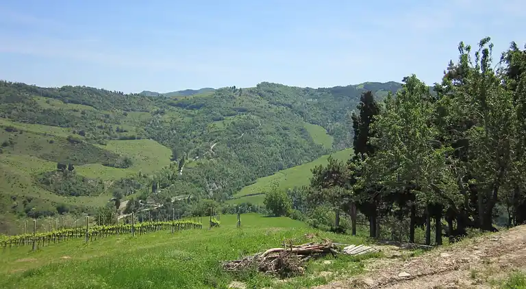 Ferielejlighed i Modigliana