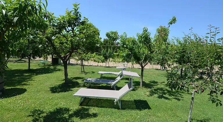 Apartment in Gatteo A Mare