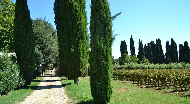 Castello in Sovicille