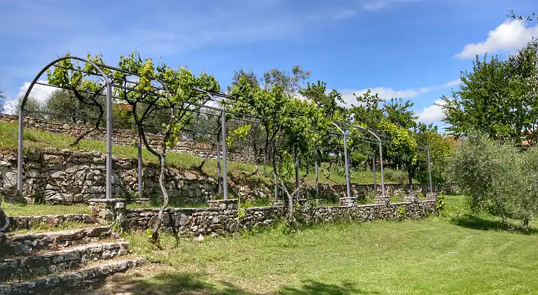 Holiday home in Cavriglia