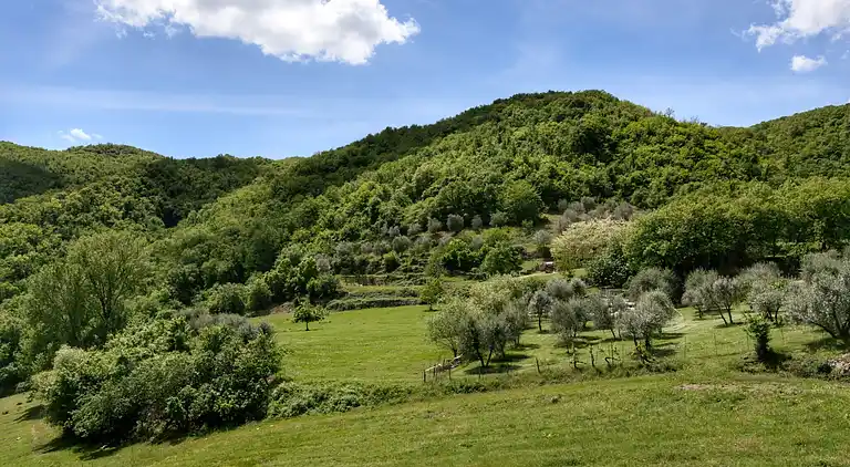 Holiday home in Cavriglia