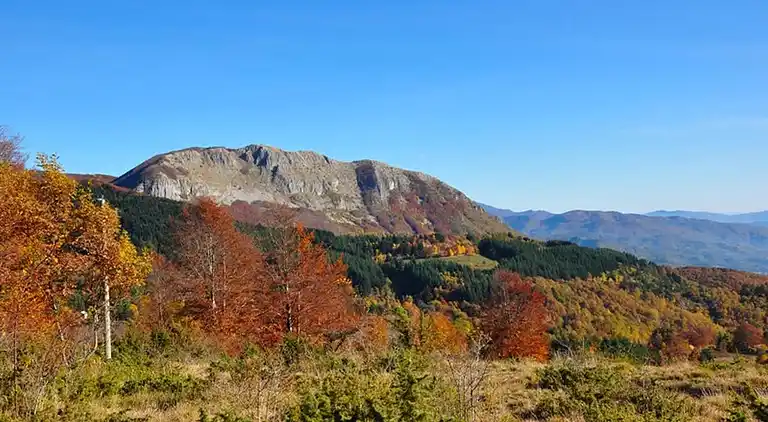 Sommerhus i Marcione