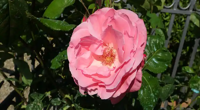 Holiday home in Mura