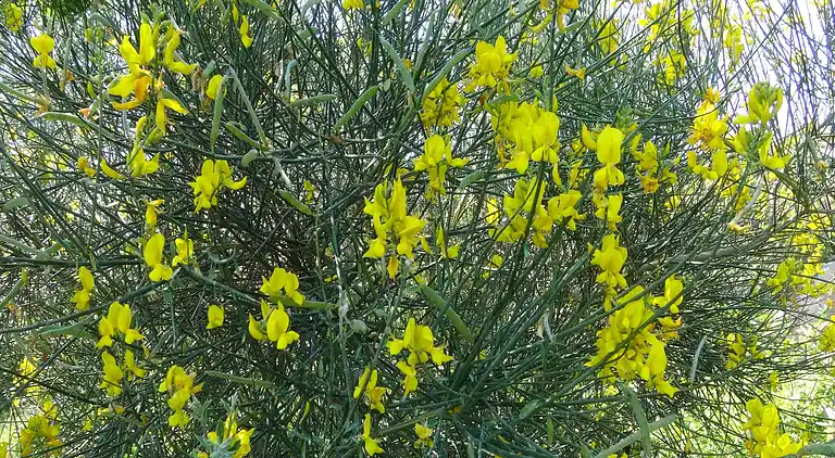 Holiday home in Mura