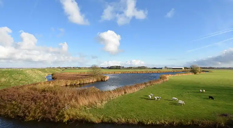 Sommerhus i Tuitjenhorn