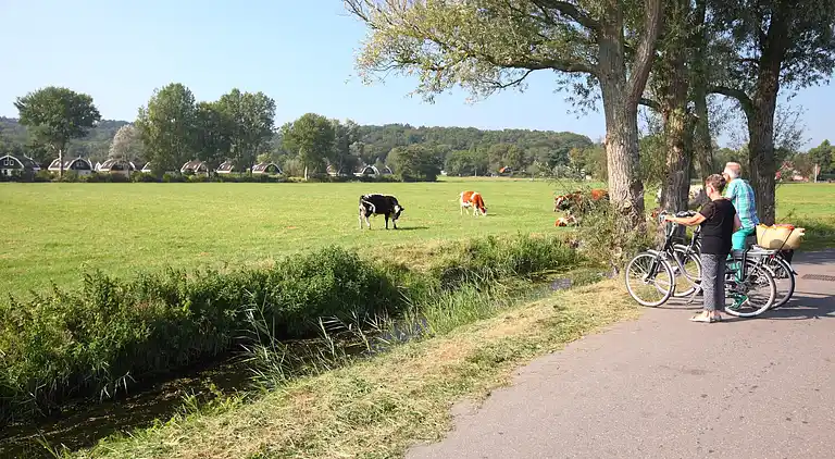 Maison de vacances au Schoorl