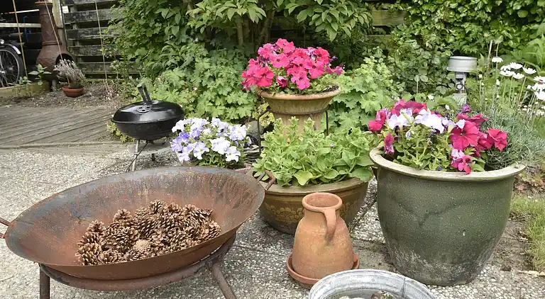 Sommerhus i Tuitjenhorn