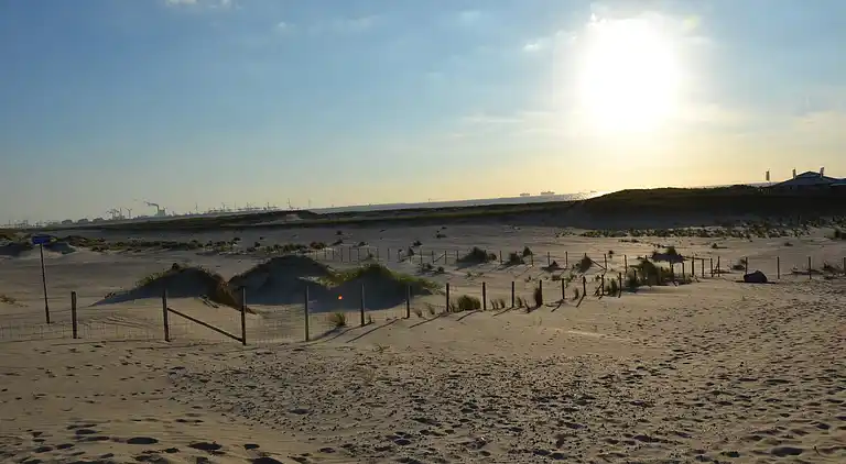 Holiday home in 's-Gravenzande