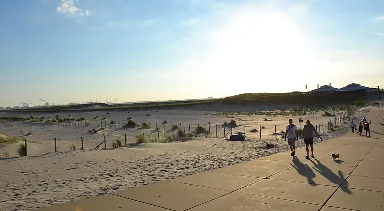 Cottage in 's-Gravenzande