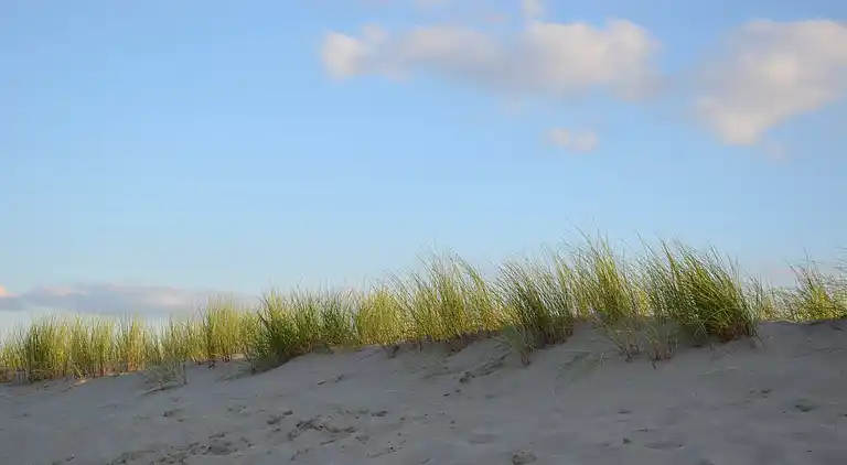 Holiday home in 's-Gravenzande