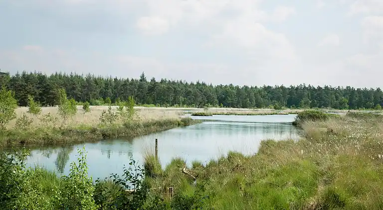 Bondgård i Appelscha