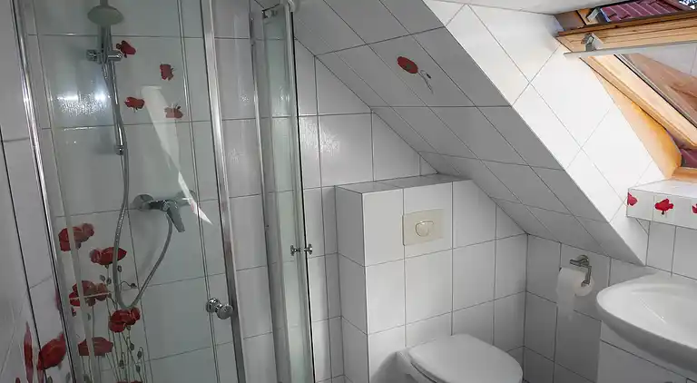 Hytte i Czarny Młyn