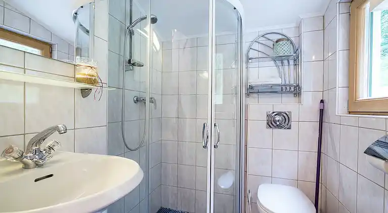 Apartment in Viehhofen