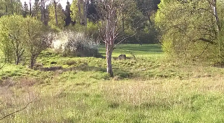 Gussagården; ein großes und wunderbares Haus