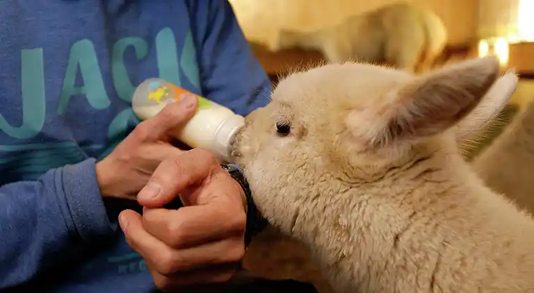 Apartment in Westendorf