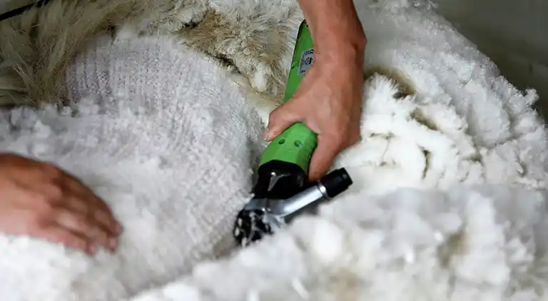 Apartment in Westendorf