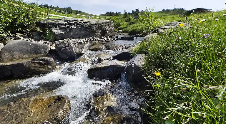 Apartment in Damüls