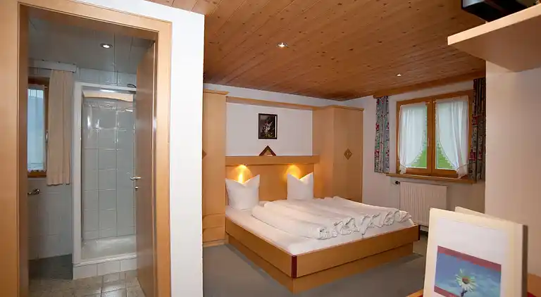 Apartment in Damüls