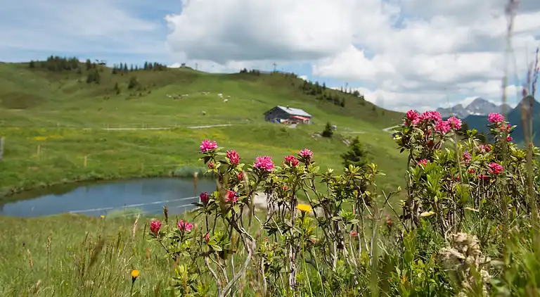 Apartment in Damüls