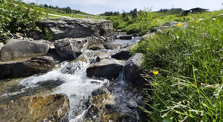 Apartment in Damüls