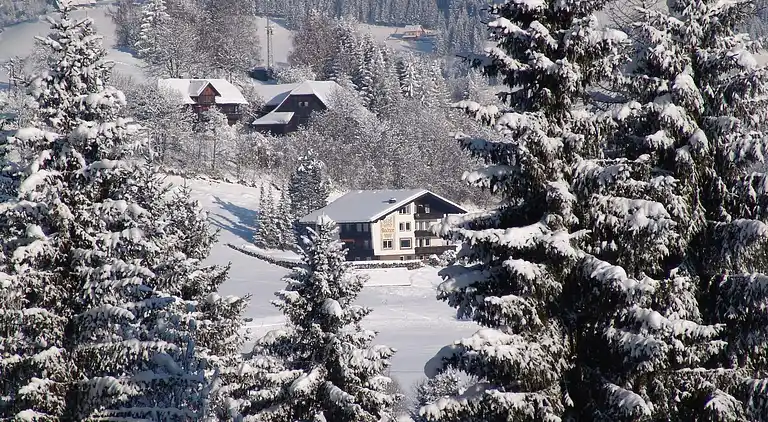 Apartment in Treffen am Ossiacher See