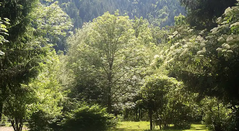 Ferielejlighed i Gitschtal