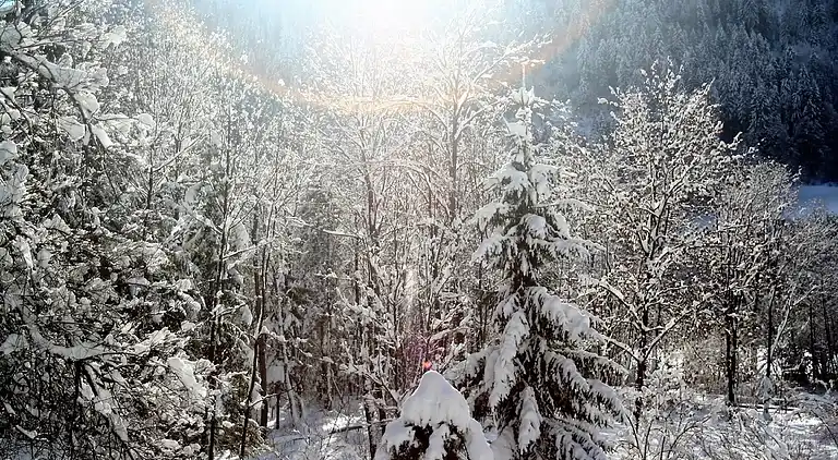 Ferielejlighed i Gitschtal