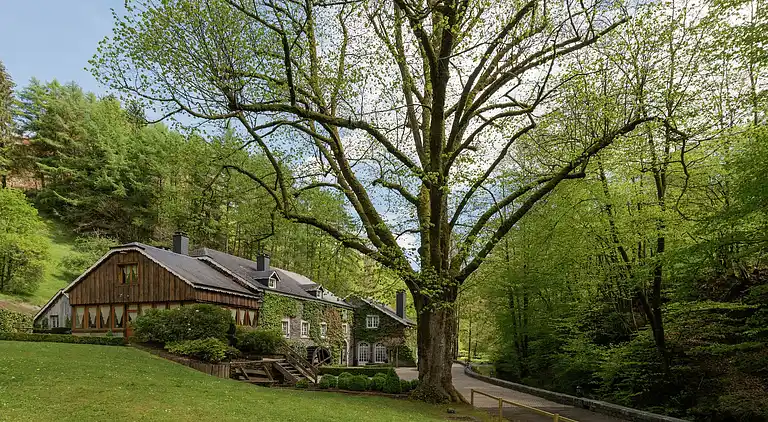 Holiday home in Orchimont