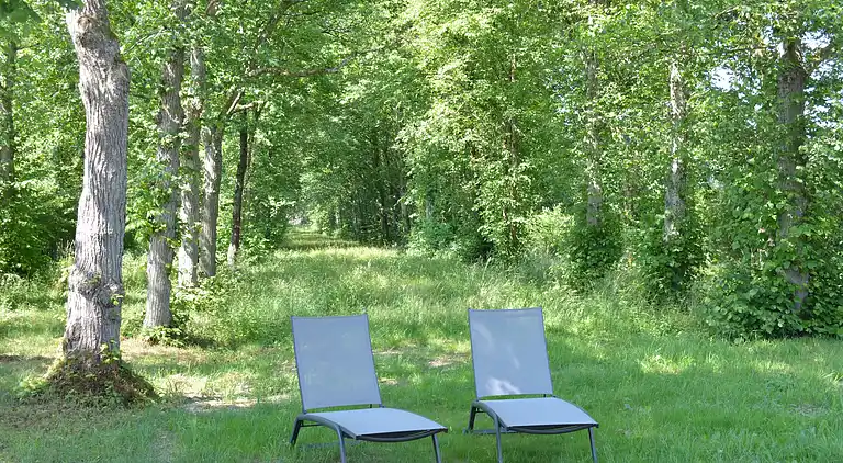 Holiday home in Serinchamps