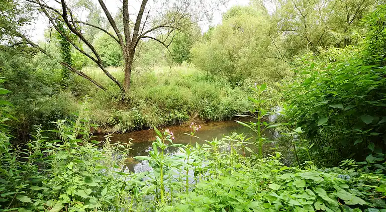Sommerhus i Saint-Mard
