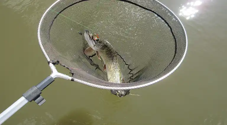 Holiday home in Europe