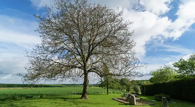 Gårdhus i Fontenelle