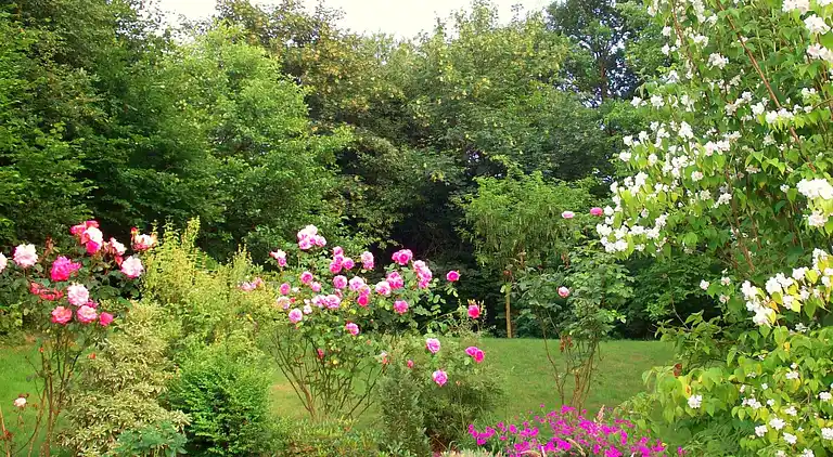 Cottage in Francorchamps