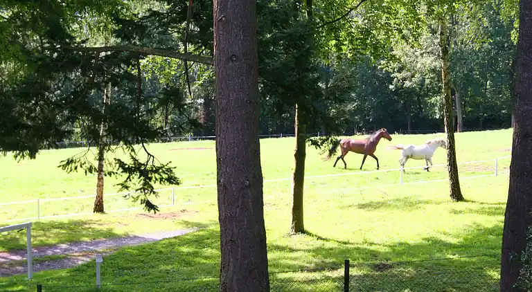 Gårdhus i Fontenelle