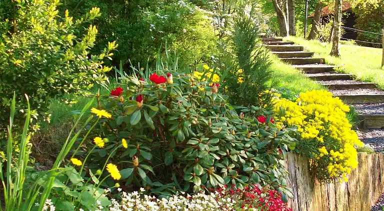Cottage in Francorchamps