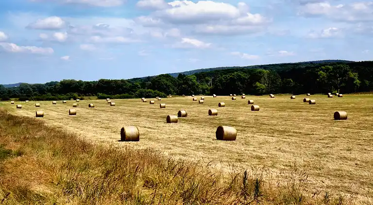 Sommerhus i Beauraing