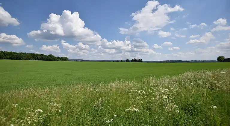 Sommerhus i Jehonville