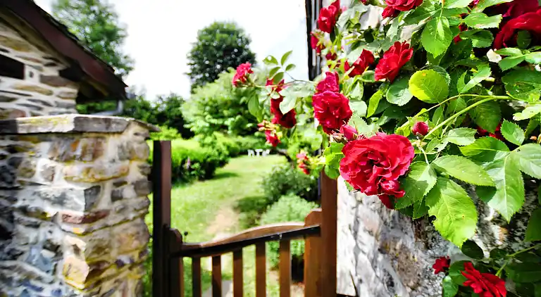 Holiday home in Vielsalm