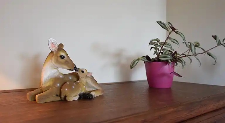 Ferienhaus in Daverdisse