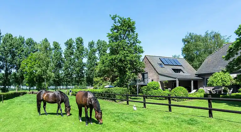 Lägenhet i Maldegem