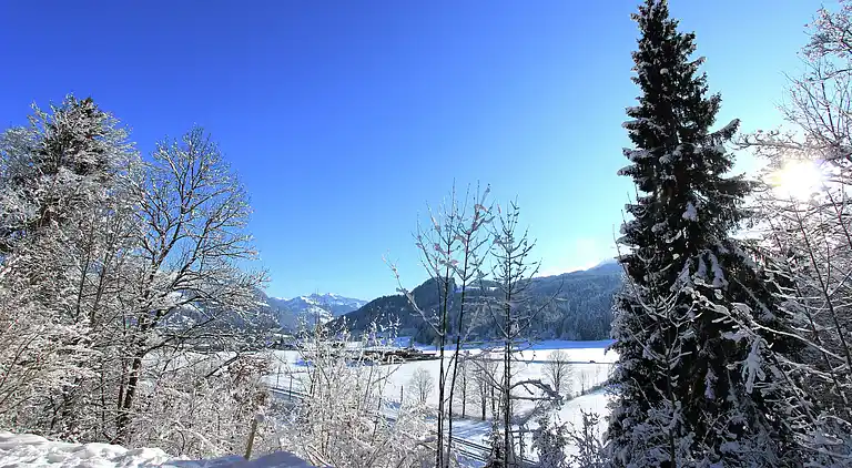 Sommerhus i Kirchberg in Tirol