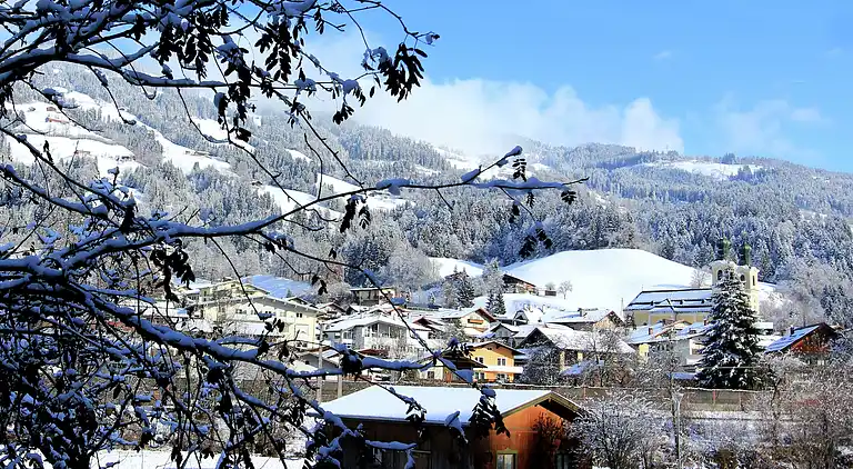 Cottage in Hopfgarten-Markt