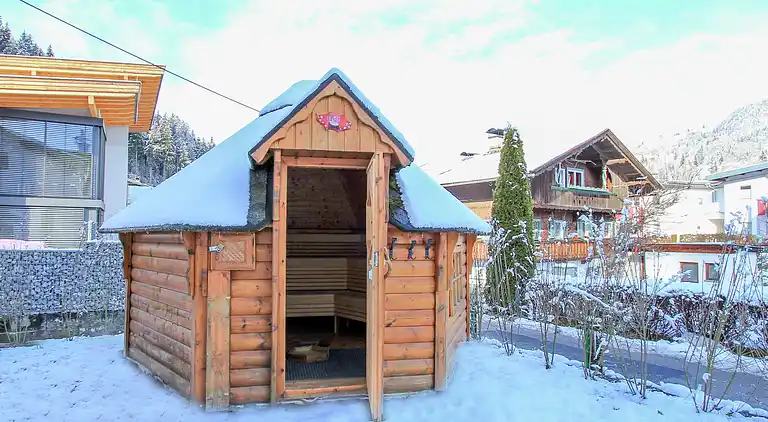 Cottage in Hopfgarten-Markt