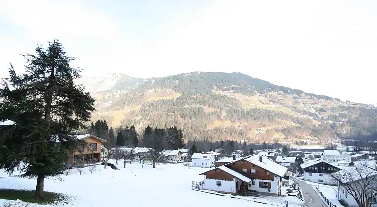 Apartment in Vandans