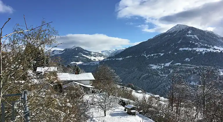 Ferielejlighed i Thüringerberg