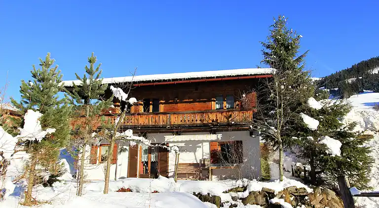 Hytte i Kirchberg in Tirol