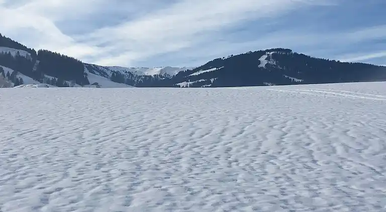 Holiday home in Leogang