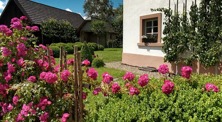 Holiday home in Büllingen